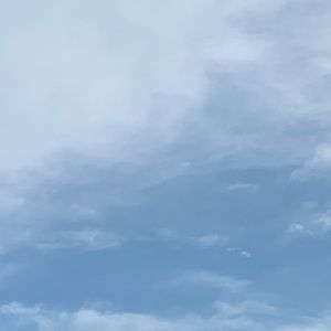 Meet your Posher, Claire